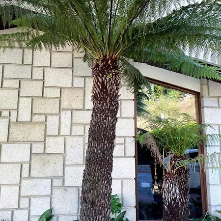 Santiago Family House Panzió *