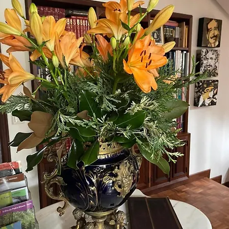 Santiago Family House - Luxury Sever do Vouga
