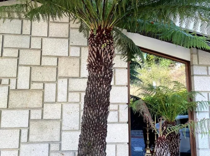 Santiago Family House 住宿加早餐酒店 4*