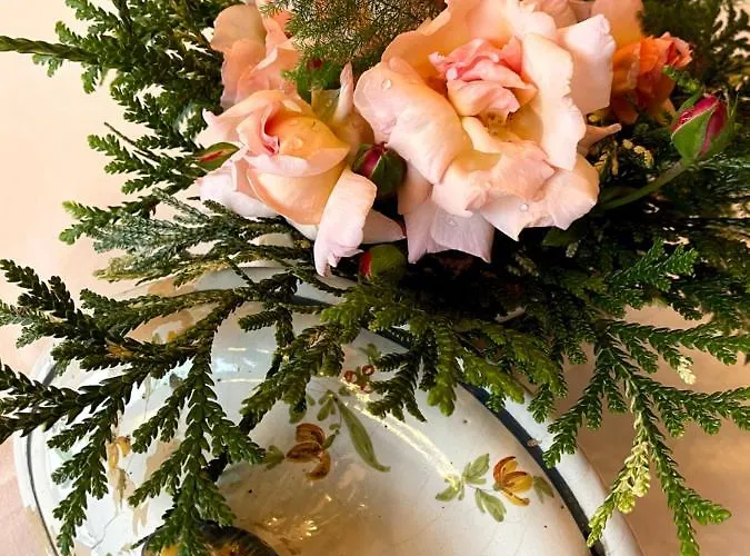 Santiago Family House