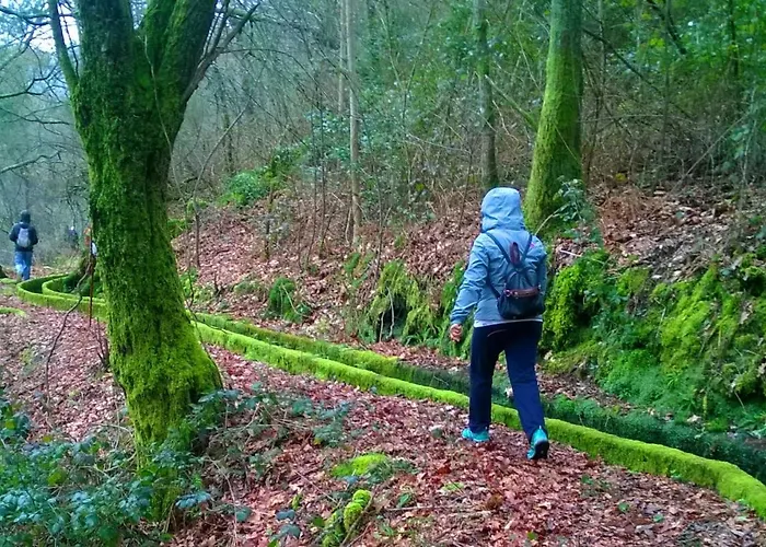 Santiago Family House