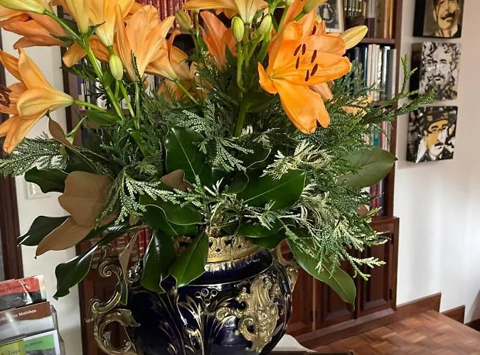 Santiago Family House 西弗都沃加